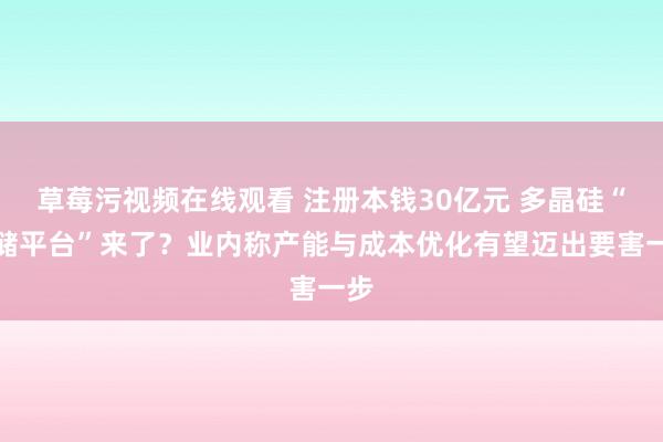 草莓污视频在线观看 注册本钱30亿元 多晶硅“收储平台”来了？业内称产能与成本优化有望迈出要害一步